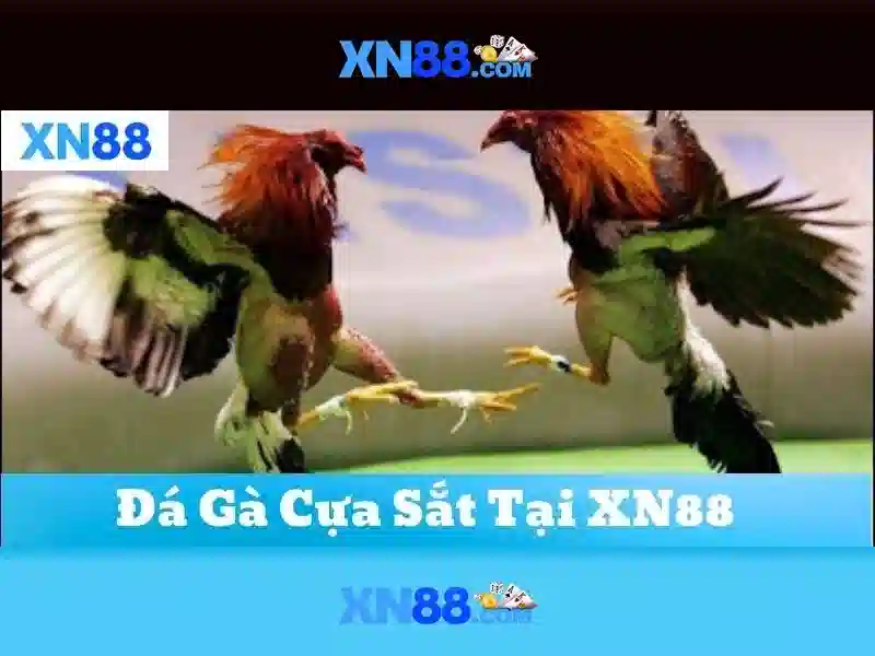 xn88: Khám phá nền tảng trò chơi trực tuyến và đánh giá