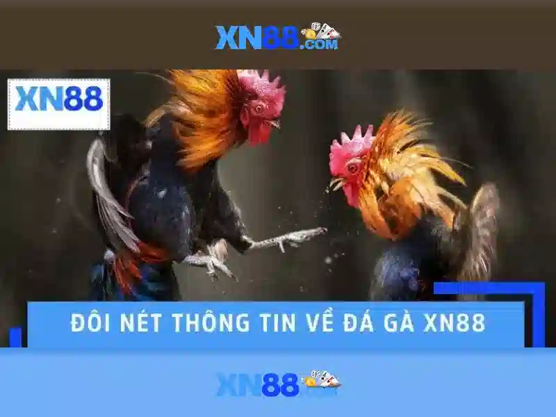 Bảo mật và thanh toán an toàn