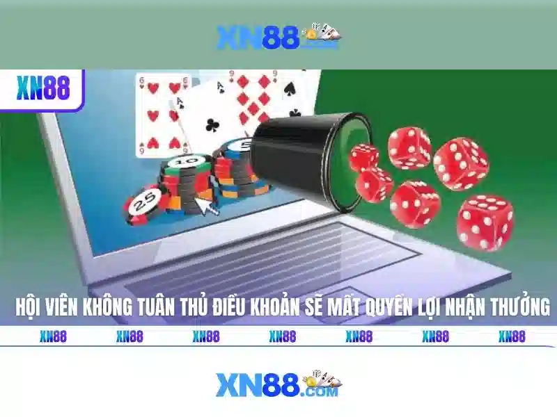 Giới thiệu về XN88