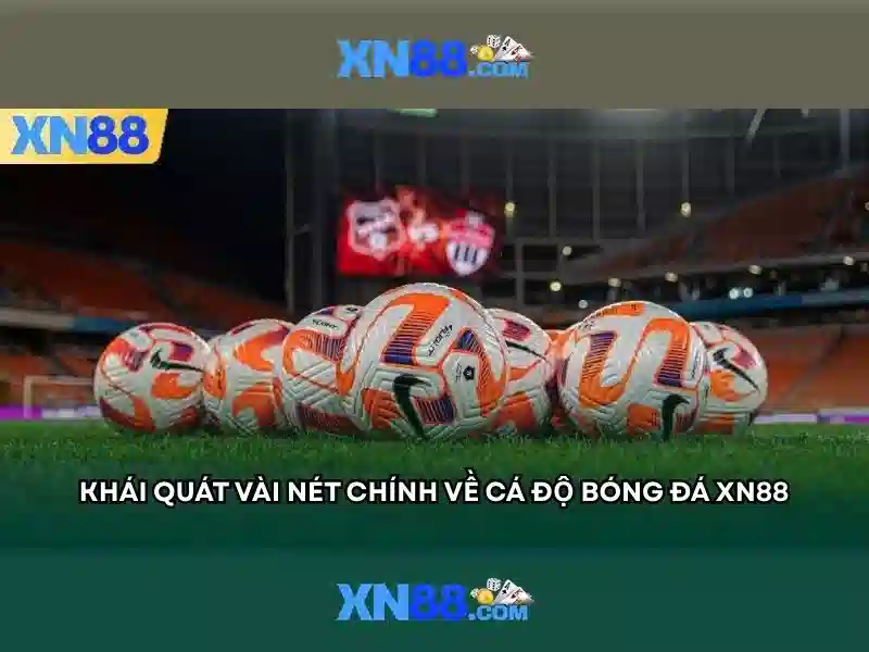 Các trò chơi và tính năng nổi bật