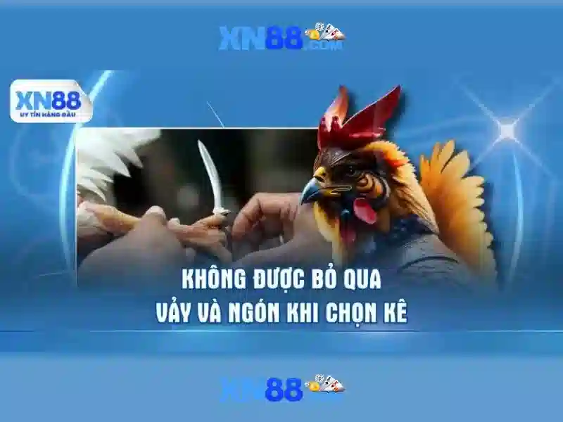 xn88 – Nền tảng cá cược trực tuyến và đánh giá tổng quan