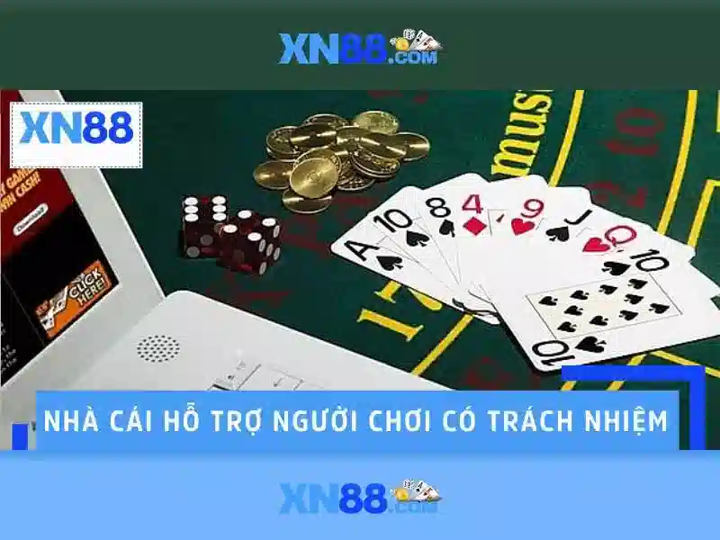 Kết luận và tương lai của xn88