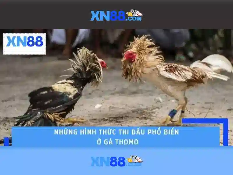 Lịch sử và mục tiêu