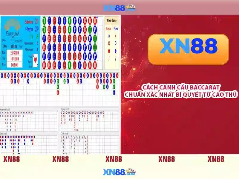 Giới thiệu về XN88