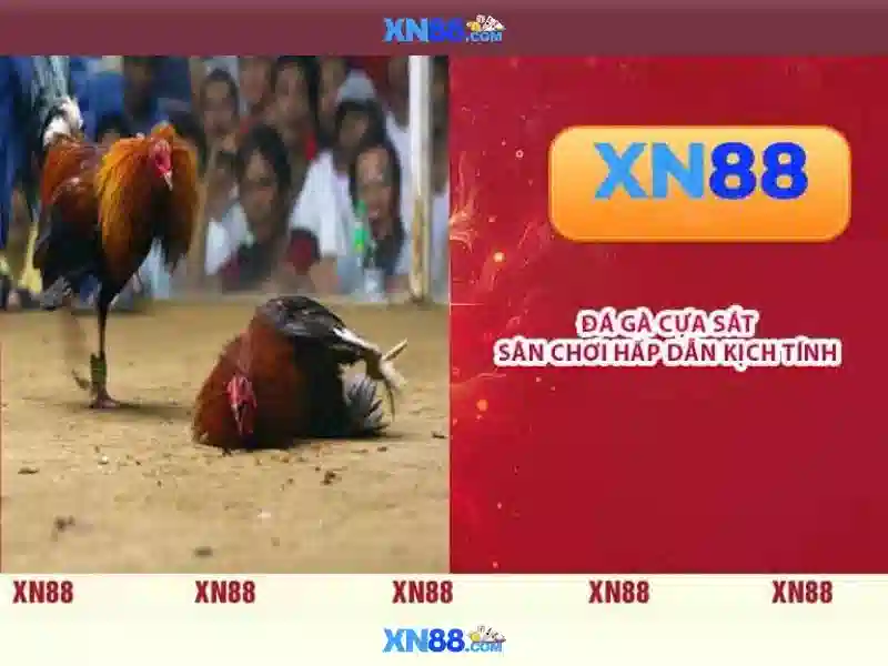 xn88: Nền tảng trò chơi trực tuyến và sự đổi mới