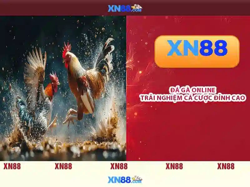 xn88 — Tổng quan và đánh giá nền tảng chơi trực tuyến