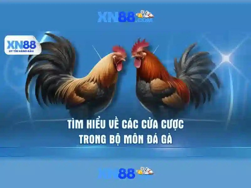 Nền tảng và dịch vụ