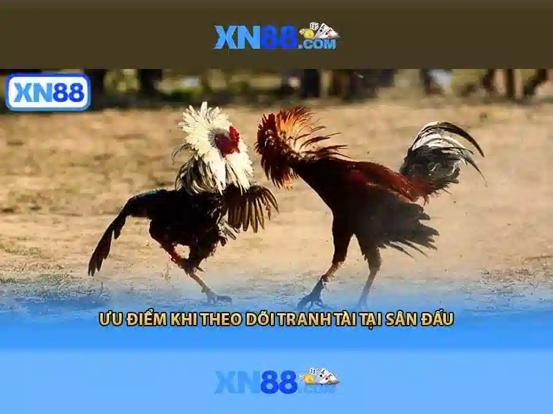 xn88: Nền tảng cá cược trực tuyến phổ biến tại Việt Nam