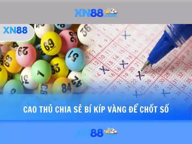Kinh nghiệm người dùng và hỗ trợ