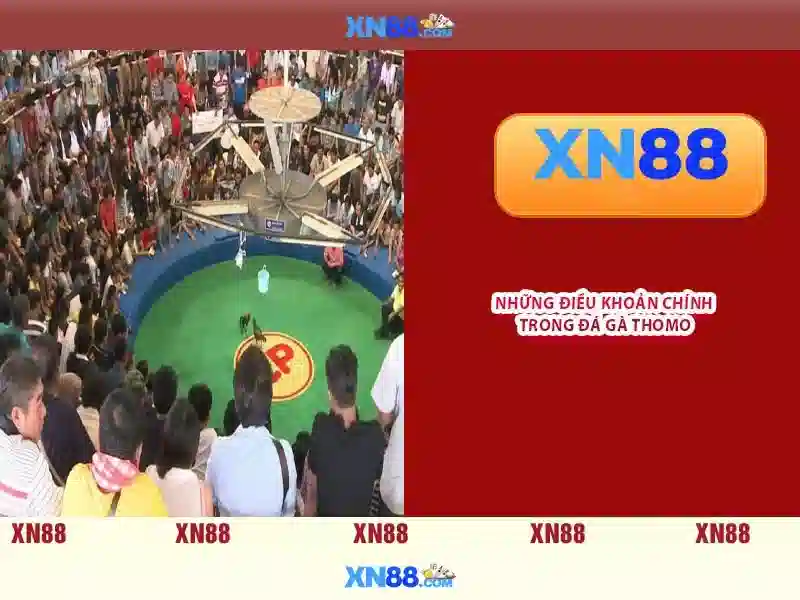 Giới thiệu xn88