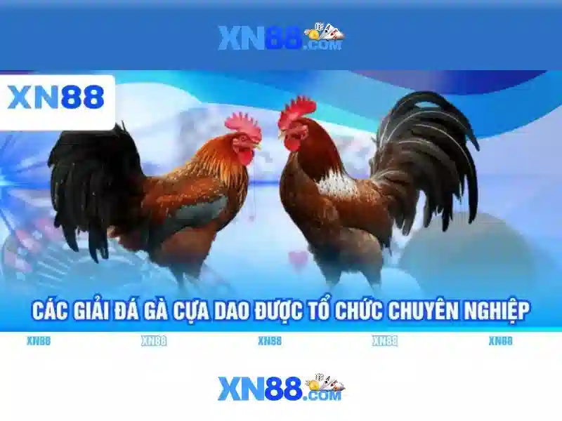 Xn88 là gì? Nền tảng trò chơi và cược trực tuyến