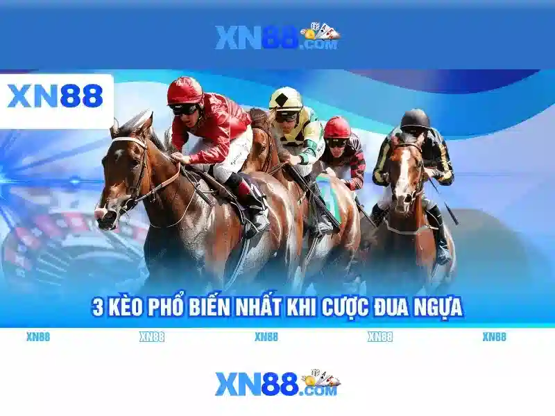 XN88: Đánh giá và tổng quan