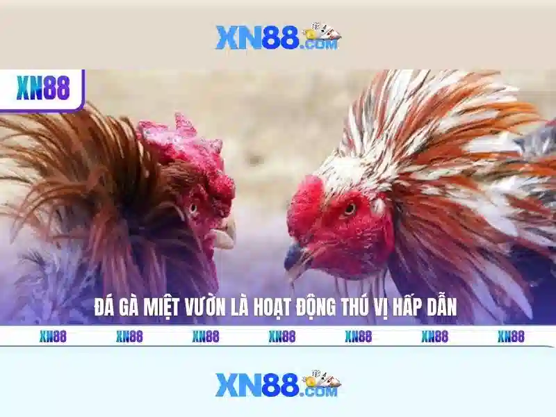giay-phep-hoat-dong-qq88-01