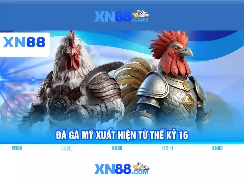Hướng dẫn tham gia và lưu ý