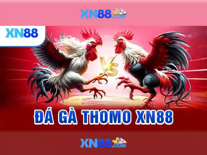 An toàn và thanh toán