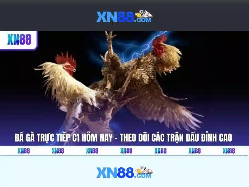 Sản phẩm và trò chơi