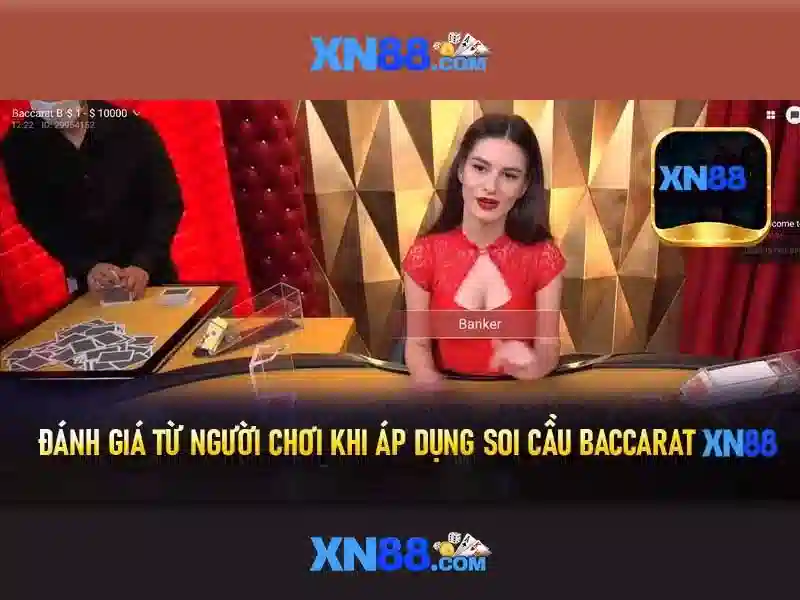Xn88: Tổng quan và đánh giá