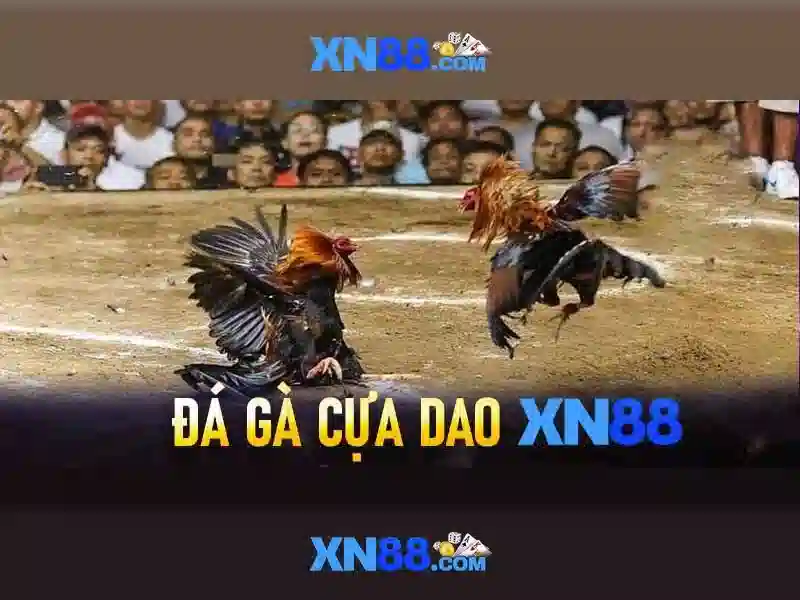 Biểu đồ thống kê kết quả xổ số để soi cầu