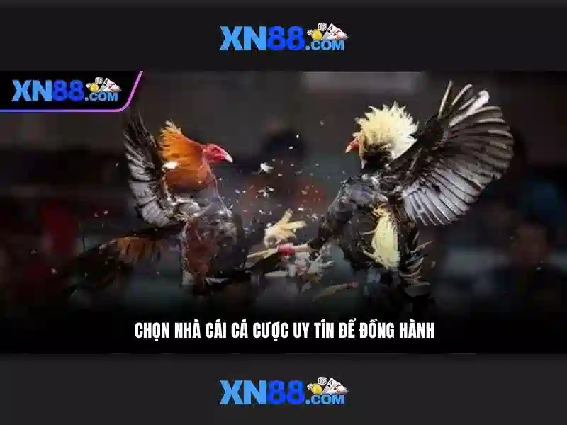 Hướng dẫn đăng ký và tham gia