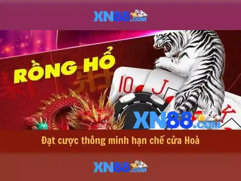 Giới thiệu về xn88