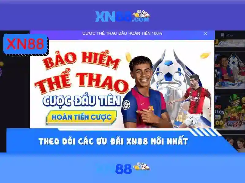 Nền tảng và trải nghiệm người dùng