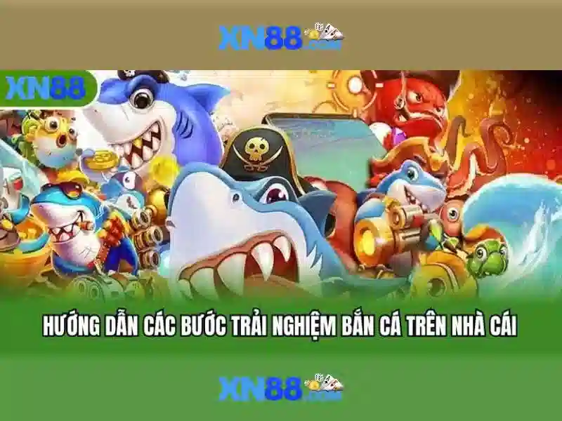 Nền tảng và an toàn