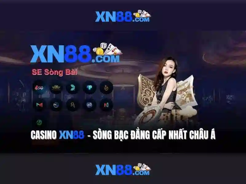 Trải nghiệm người dùng và giao diện
