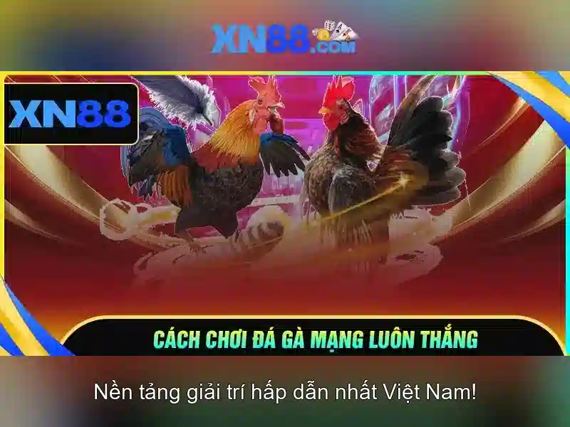An toàn và bảo mật