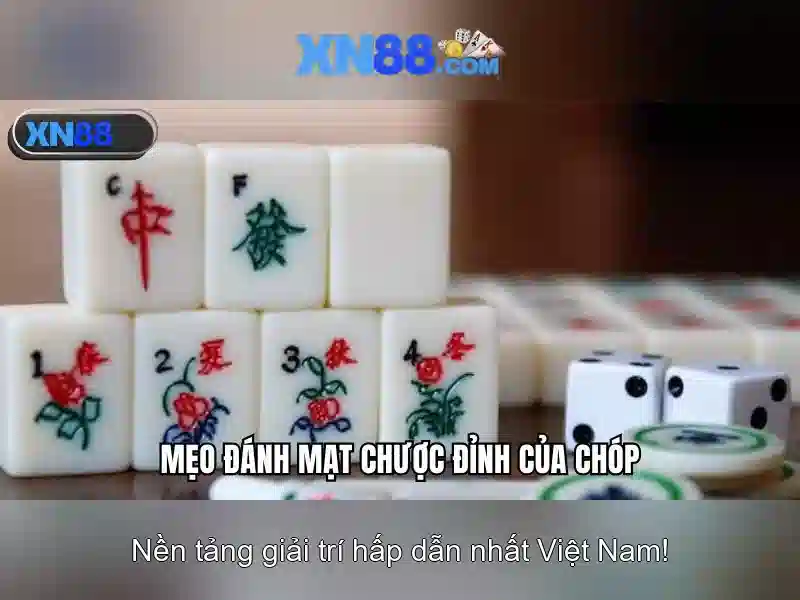 Hướng dẫn tham gia và thanh toán