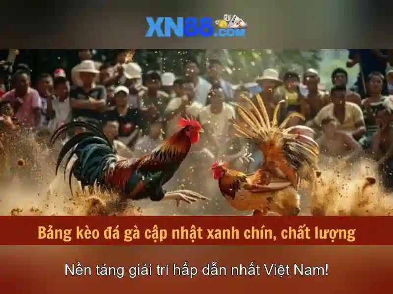 xn88: Nền tảng cược trực tuyến đáng tin cậy