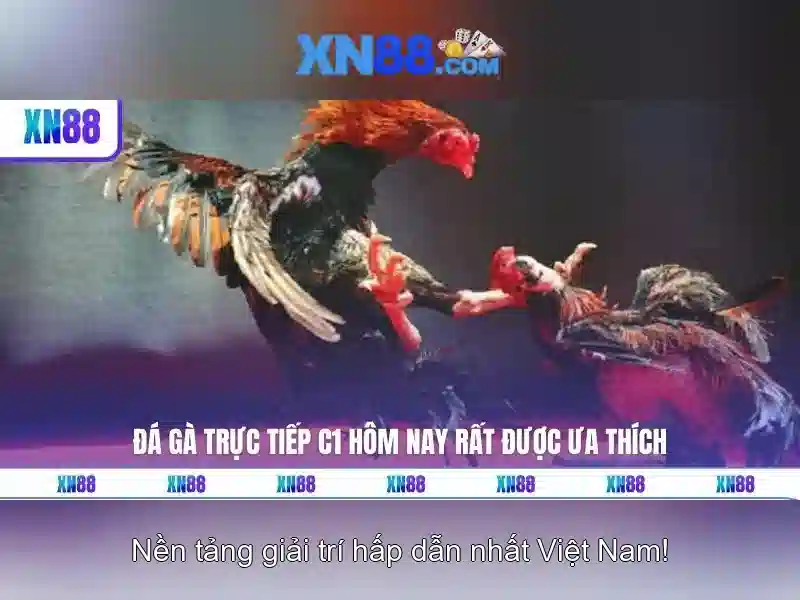 Đặc điểm nổi bật của Xn88