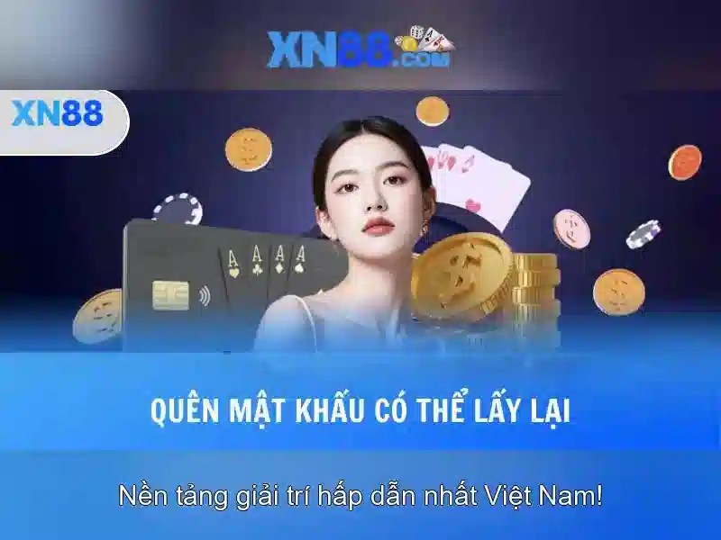 Trải nghiệm người dùng