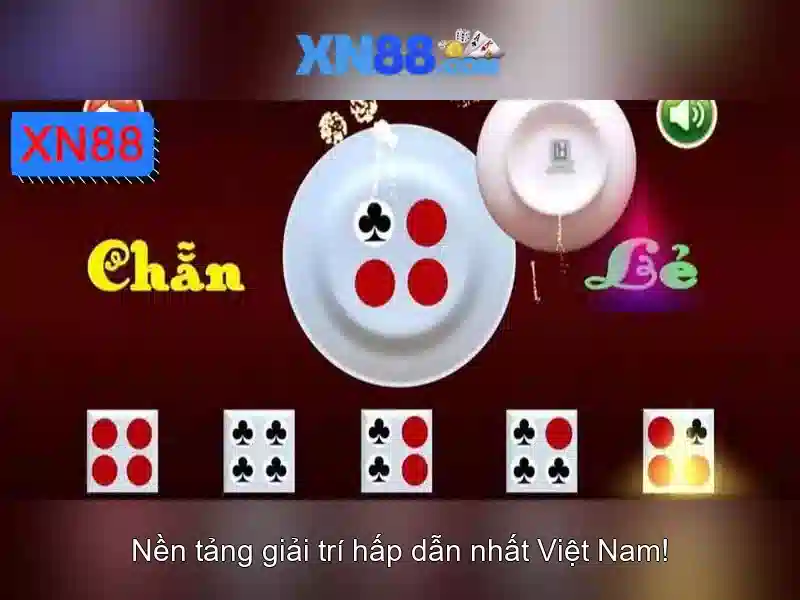 Giới thiệu về XN88