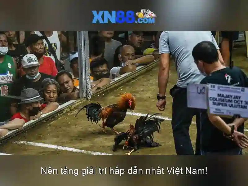 Uy tín và bảo mật