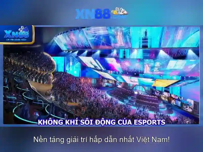 Nguồn lực và hỗ trợ người chơi