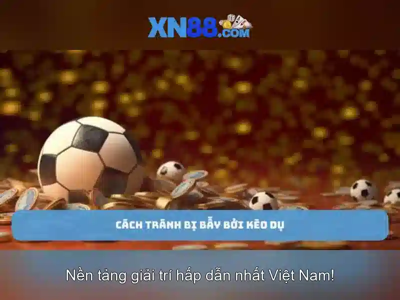 Xn88: Giới thiệu và những điều cần biết