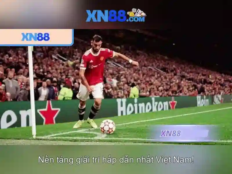 Giới thiệu xn88
