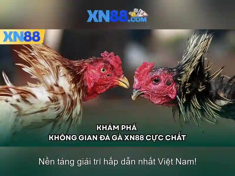 Các đặc trưng nổi bật của xn88