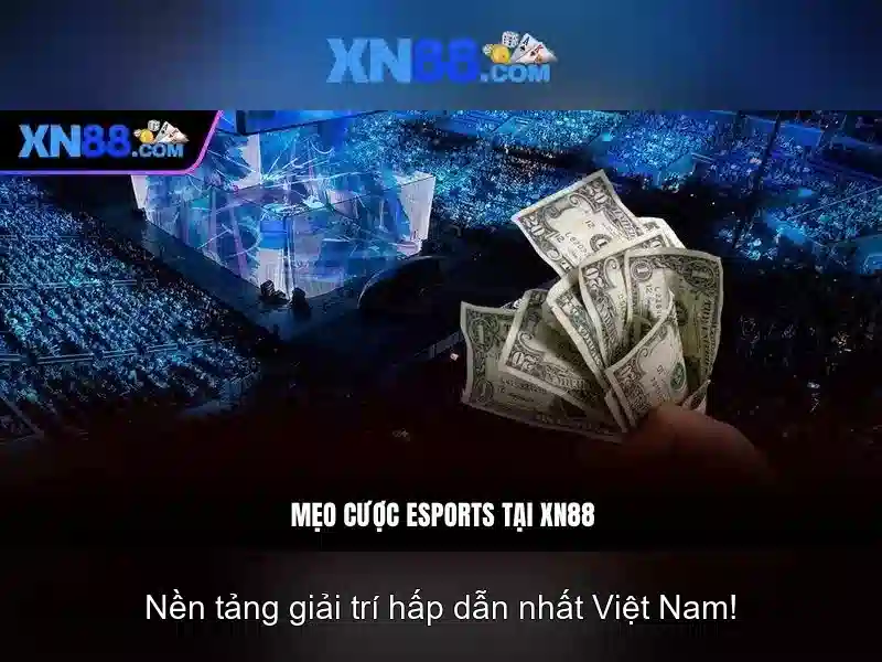 Định nghĩa và phạm vi hoạt động