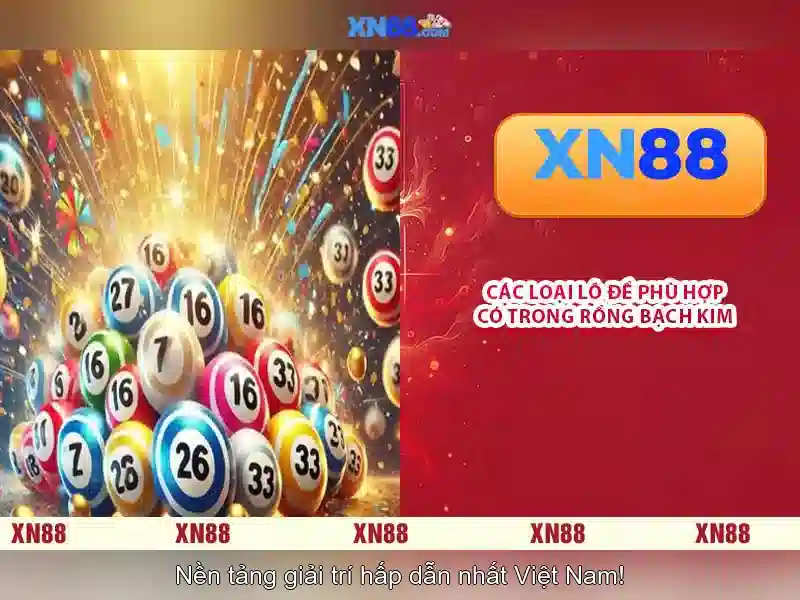 Đặc điểm và tính năng nổi bật