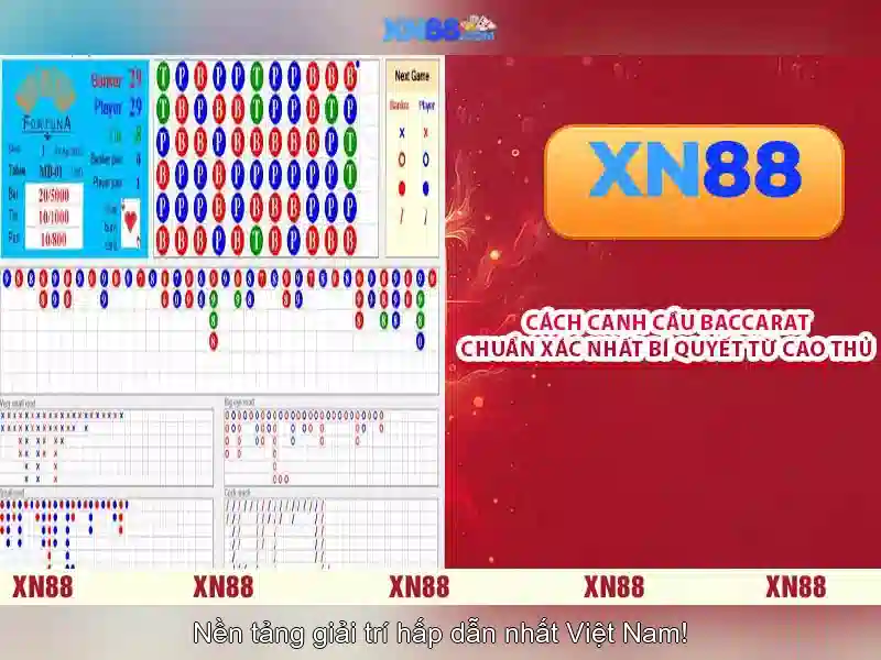 Trải nghiệm người dùng và giao diện