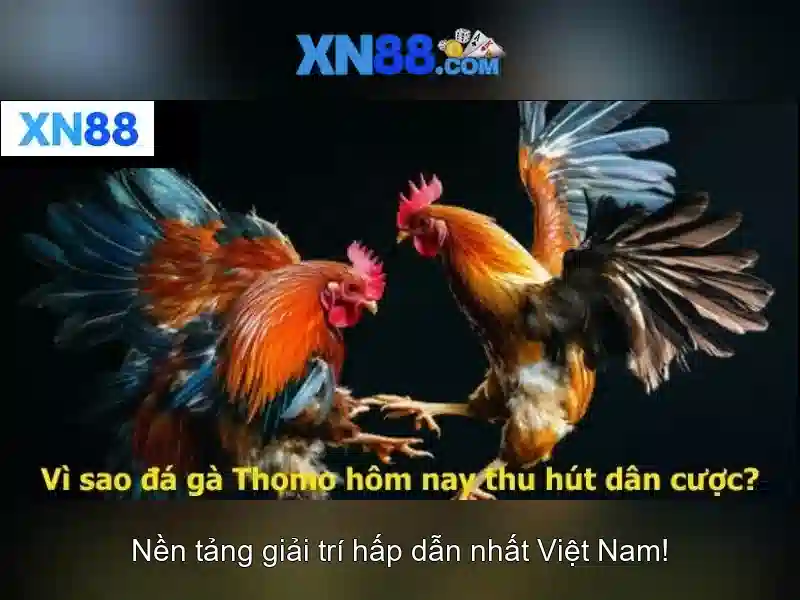 XN88 – Nen tang thuong mai dien tu tin cay hang dau