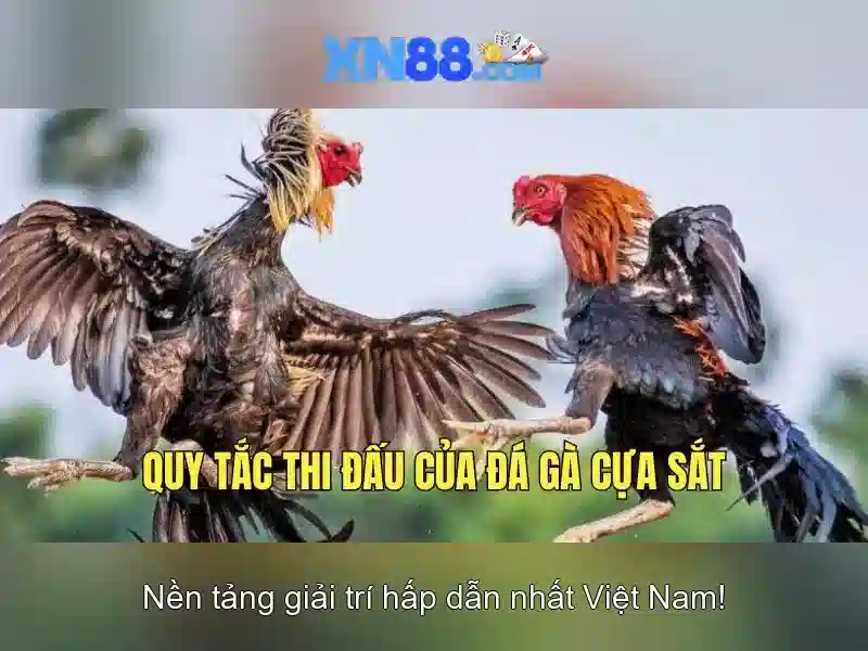 Các sản phẩm và chức năng