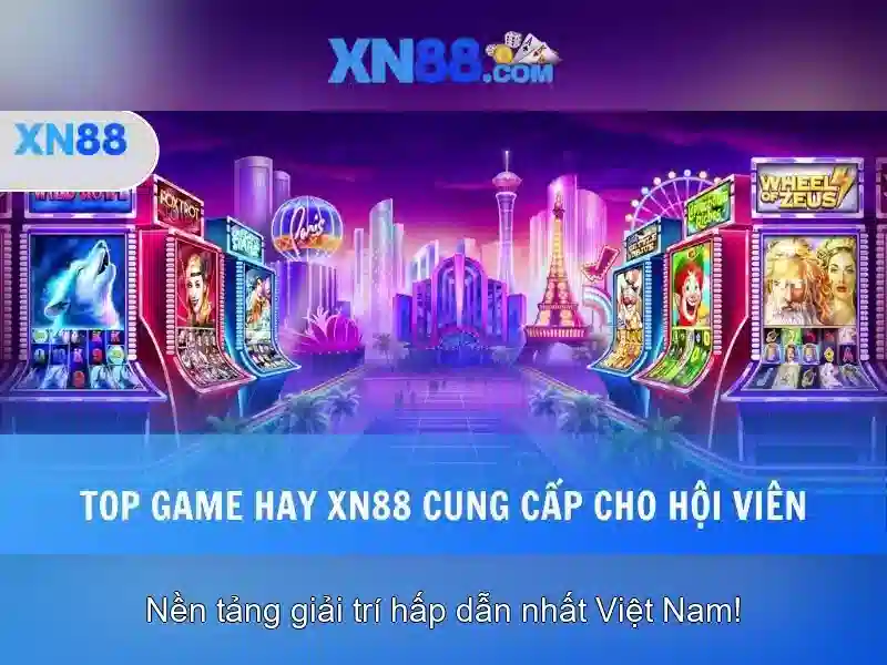 Giai thich xn88