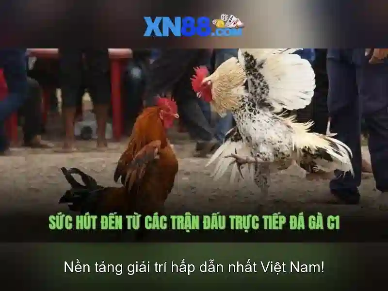 Chính sách an toàn và bảo mật