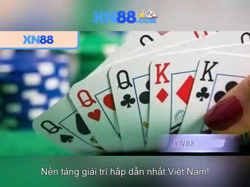 An toàn và quản lý rủi ro