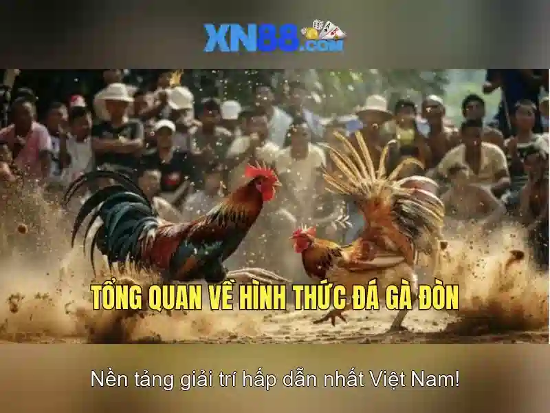 xn88: Nền tảng trò chơi trực tuyến và giải trí