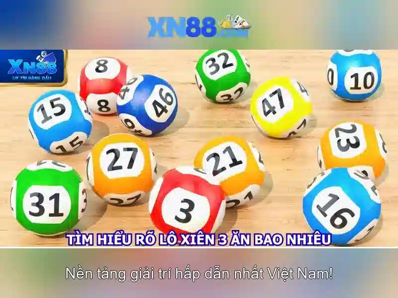 Lĩnh vực hoạt động và nền tảng
