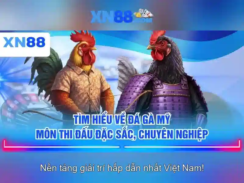 xn88: Nền tảng giải trí và cá cược hàng đầu