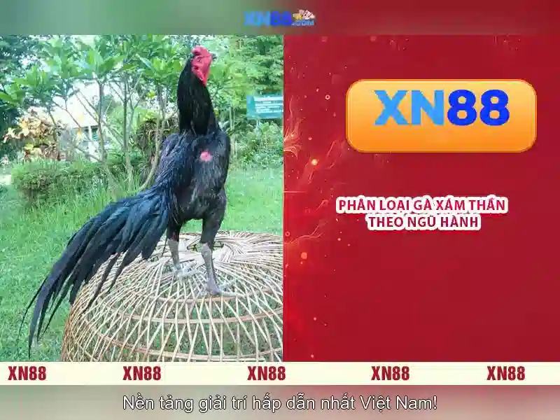 Danh mục trò chơi và casino